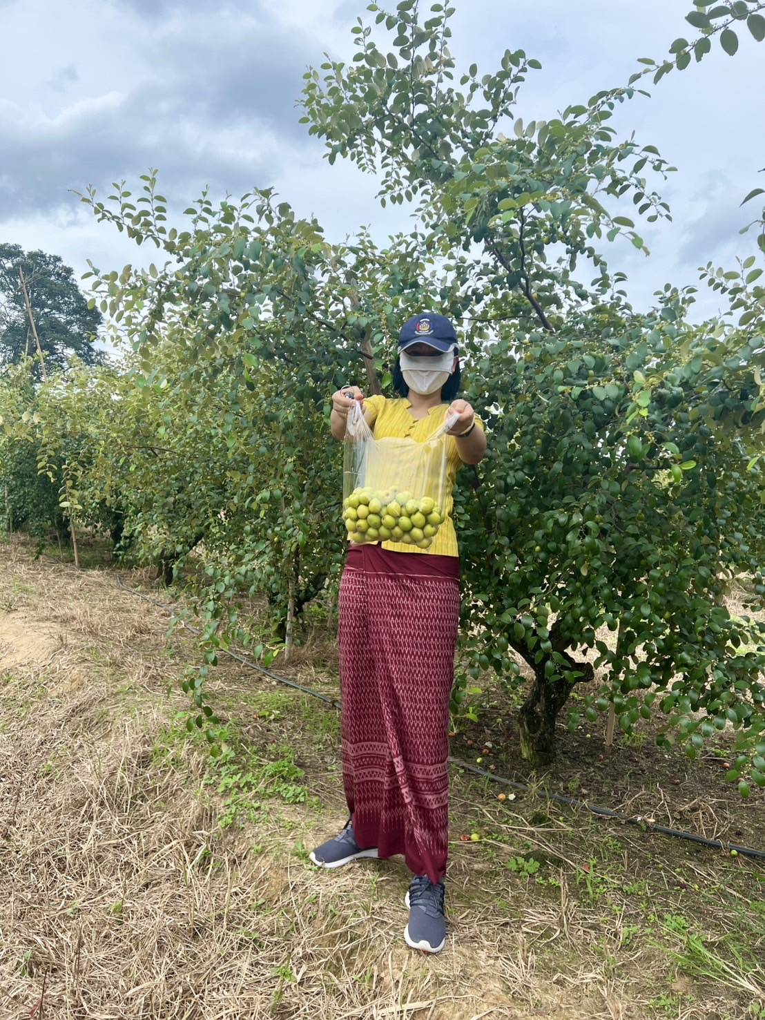 ขับเคลื่อนงาน พช.